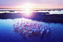 Huawei MateBook 13 (2020) 13″ |Intel Core i5-10210U | RAM 8GB | SSD 512GB – Ricondizionato – Come nuovo